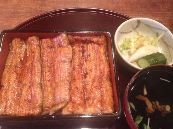 THANKS BOSS NODAIWA YOKOHAMA.JPG